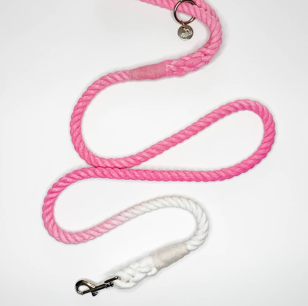 Pink Ombré Rope Dog Lead By The Spotted Dog Company