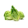 Salad Plants Lettuce 'Little Gem' Plug Plant Packs, thumbnail 1 of 8