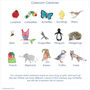 Personalised Classroom Creatures Teacher's Notebook, thumbnail 4 of 5
