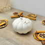 White Pumpkin Decorative Bowl Autumn Home Decor Gift, thumbnail 1 of 10