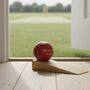 Personalised Full Size Cricket Ball Doorstop, thumbnail 10 of 10