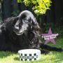 Personalised Dog Bowl, thumbnail 1 of 4