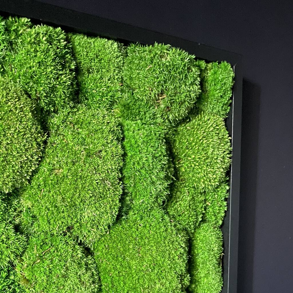 Preserved Moss Wall Art By Bowerbox | notonthehighstreet.com