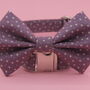 Purple Star Dog Bow Tie, thumbnail 6 of 8