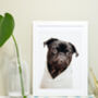 Framed Pug Print, Pug In A Hoodie Dog Print, thumbnail 4 of 5