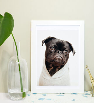 Framed Pug Print, Pug In A Hoodie Dog Print, 4 of 5