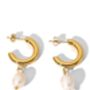 18 K Thick Gold Freshwater Earrings, thumbnail 2 of 5