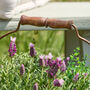 Personalised Vintage Copper Garden Bucket Planter, thumbnail 4 of 5