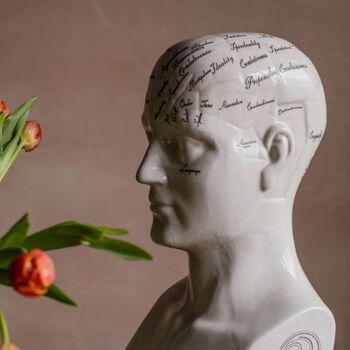 Large Antiqued Phrenology Head, 4 of 5