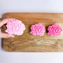 Blooming Rose Biscuit Baking And Decorating Starter Kit, thumbnail 3 of 9