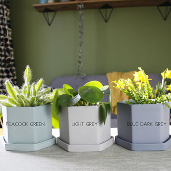 Personalised Couple's Hexagonal Planter Valentine's Day, 4 of 9