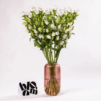 White Campanula Fresh Flower Bouquet, 3 of 3
