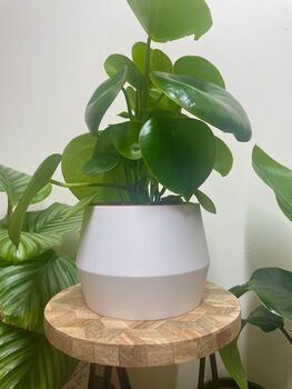 3D Printed Angled Plant Pot – Stylish And Sustainable, 3 of 12