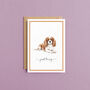 Cavalier Spaniel Just To Say Card, thumbnail 1 of 6