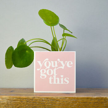 'You've Got This' Positivity Plant Pot And Houseplant, 3 of 7