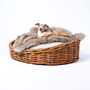 Natural Rattan Basket And Reversible Mattress Set, thumbnail 1 of 8