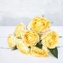 Soft Yellow Rose Bouquet, thumbnail 1 of 8