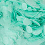 Mint Wedding Confetti | Biodegradable Paper Confetti, thumbnail 1 of 6