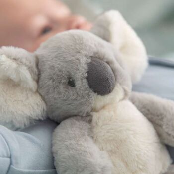 Neutral Koala Baby Hamper | Unisex Baby Outfit, 5 of 12
