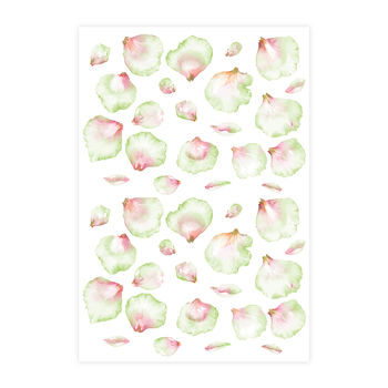 Watercolour Flower Petals Wall Stickers, 3 of 7