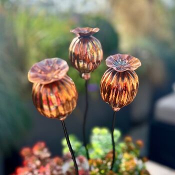 Set Of Three Copper Seed Head Garden Planter Stakes, 6 of 9