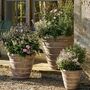 Cotswold Ribbed Planter, thumbnail 1 of 9