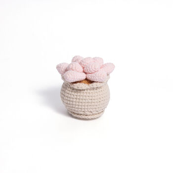 Soft Crochet Succulent Plants, 2 of 3