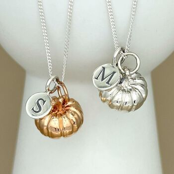 Personalised Large Pumpkin Sterling Silver Necklace, 6 of 11