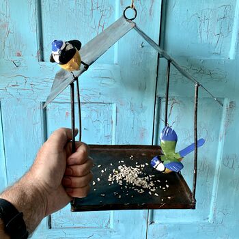 Hanging Bluetit Bird Feeder Art125, 9 of 9