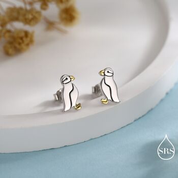 Puffin Bird Pendant Necklace And Stud Earrings In Sterling Silver, 3 of 12