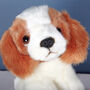 Mini King Charles Dog Soft Toy With Personalised Case, thumbnail 3 of 5