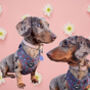 Handmade Italian Leather Padded Pastel Pink Dog Collar, thumbnail 7 of 12
