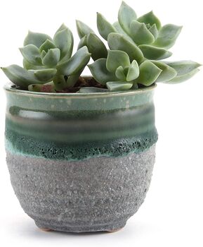 Set Of Three Ceramic Succulent Plant Pots, 4 of 8