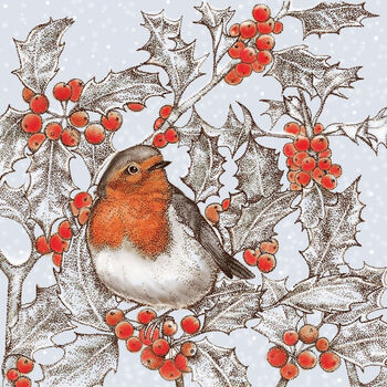 'Robin And Holly' Print, 3 of 3