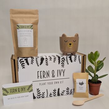 Plant Your Own Succulent Kit, 5 of 12