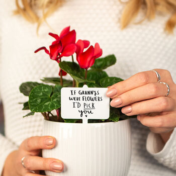 'If Grandma's Were Flower's I'd Pick You' Plant Marker, 2 of 6