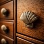 Ocean Inspired Brass Seashell Knob, thumbnail 4 of 8
