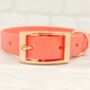 Waterproof Dog Collar And Lead Set Coral, thumbnail 2 of 3