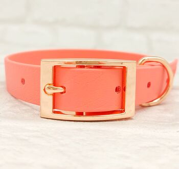 Waterproof Dog Collar And Lead Set Coral, 2 of 3
