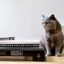 Cat Scratch Dj Turntable, thumbnail 2 of 6