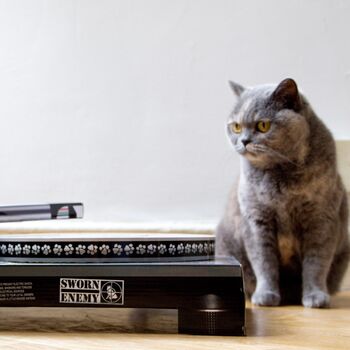 Cat Scratch Dj Turntable, 2 of 6