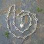 Diamond Eyes Fox Necklace With Swivel Clasp In Sterling Silver, thumbnail 1 of 4