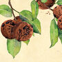 Cookies Botanical Print, thumbnail 3 of 10