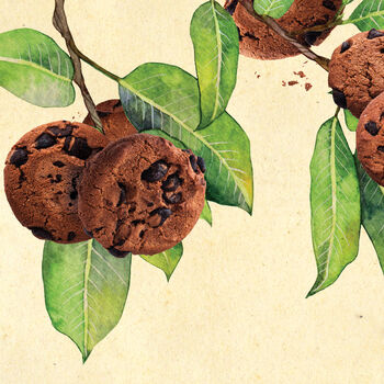 Cookies Botanical Print, 3 of 10