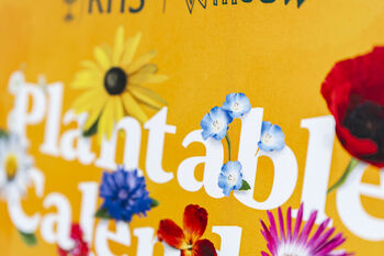 A5 Plantable Desk Calendar By The Rhs And Willsow, 7 of 8