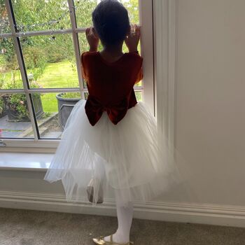 Burnt Orange Long Sleeve Velvet Tutu Dress, 3 of 8