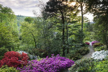 Entrance To R.H.S Garden Rosemoor For Two, 4 of 7