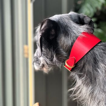 Red Leather Whippet Collar Can Be Personalised, 3 of 8