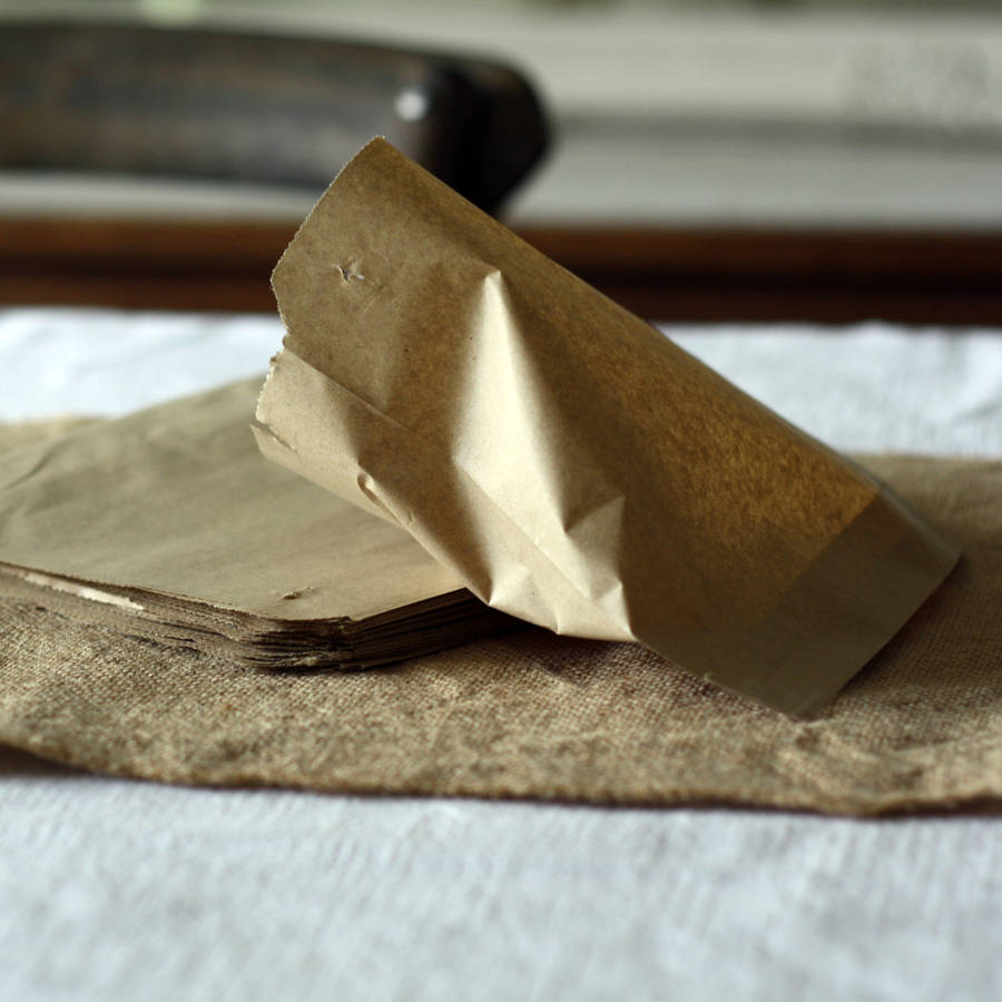 Plain Brown Paper Bags Set Of 100 By The Wedding of my Dreams