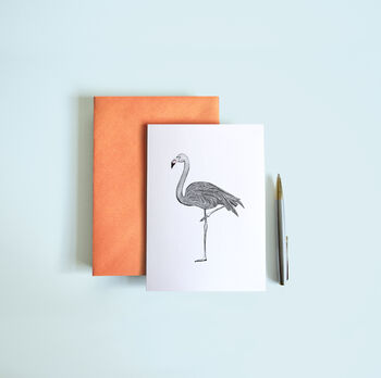 Animal Greetings Card Set For Any Occasion | 12 Cards, 5 of 8